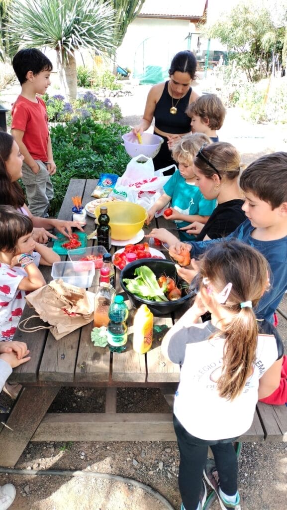 19e4bf8b-f0d2-46c3-8a1b-5bc49b2c8b63