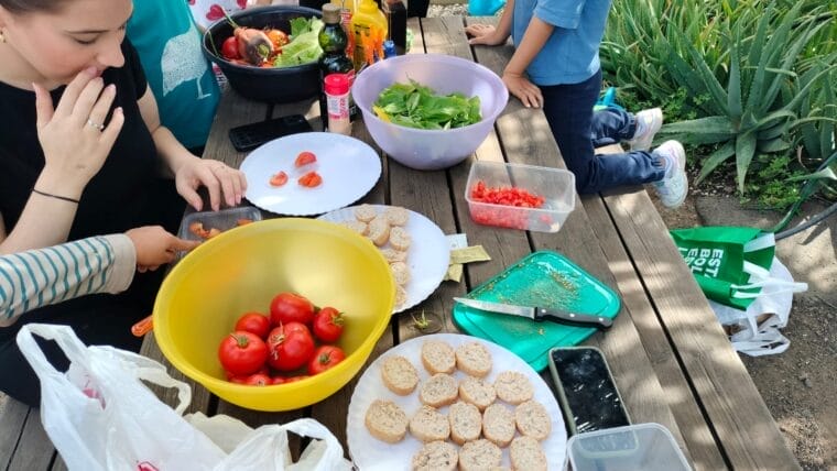 ed3a918f-2516-42ec-b31c-786b24b88139