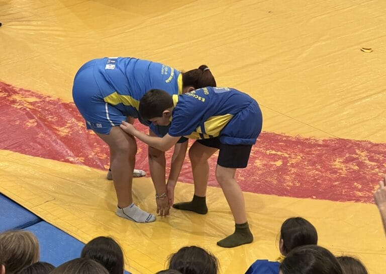 lucha canaria